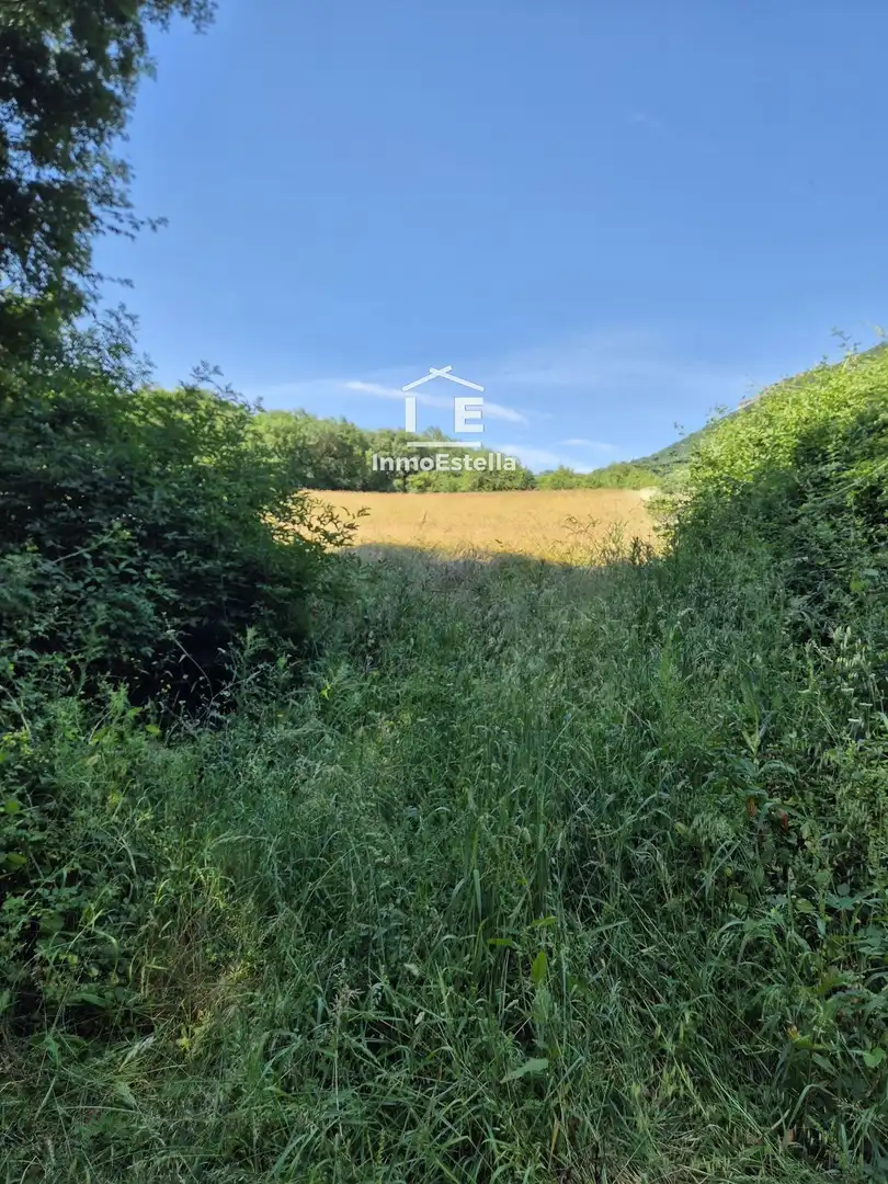 Land for sale in Améscoa Baja