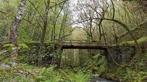 Foto 4 de Casa o xalet en venda a Caraduje, Santa Eulalia de Oscos, Asturias