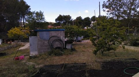 Solar con árboles frutales, immagine 5
