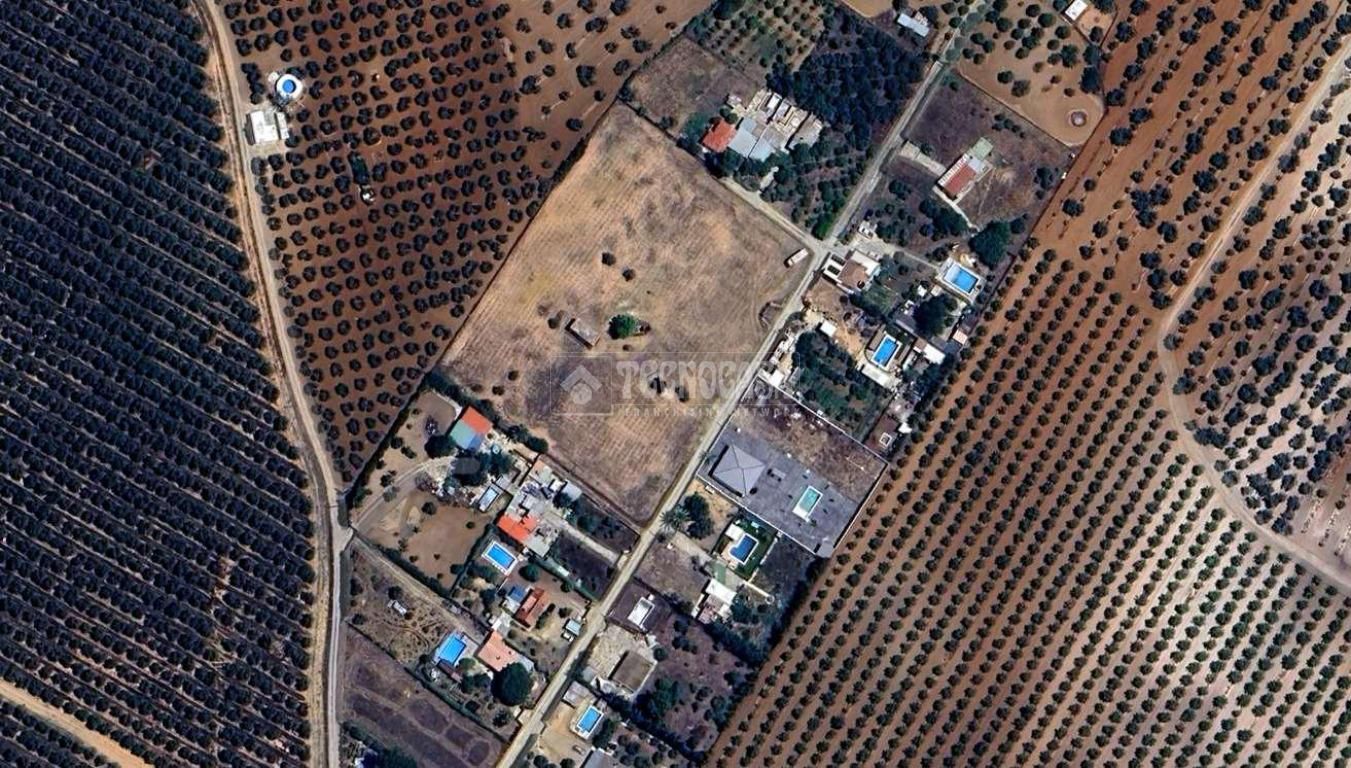 Land for sale in Utrera