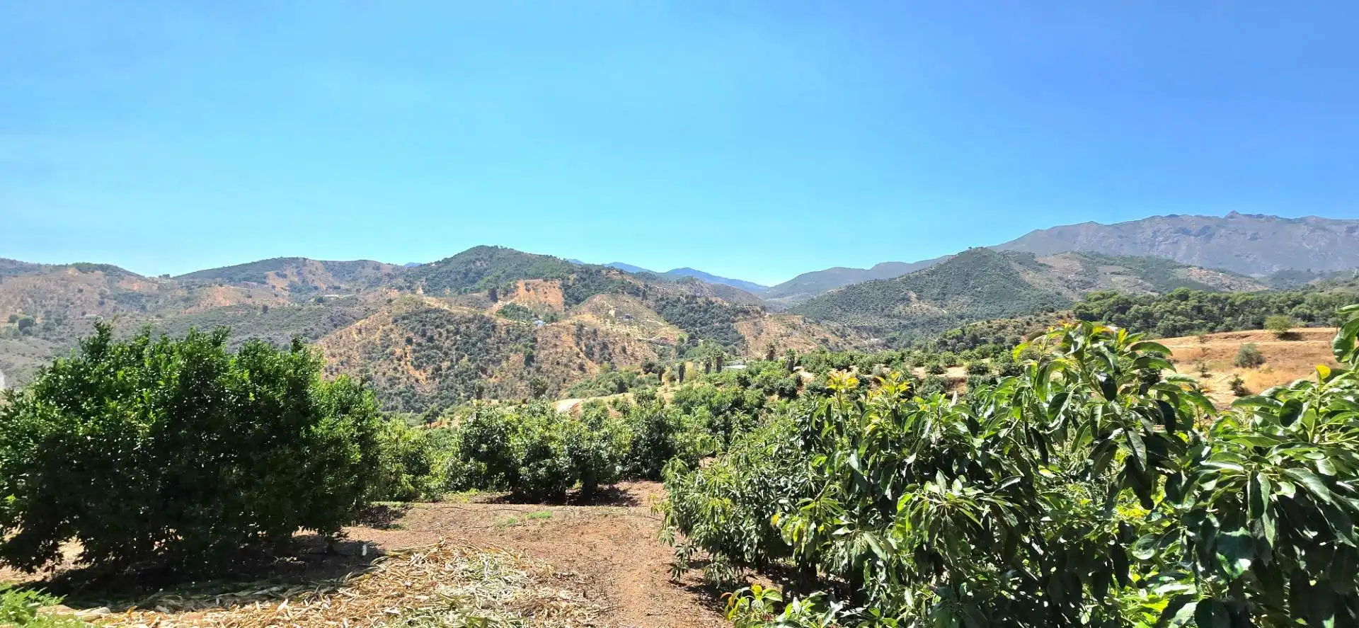 Vista exterior de Casa o xalet en venda en Guaro amb Aire condicionat, Jardí privat i Moblat