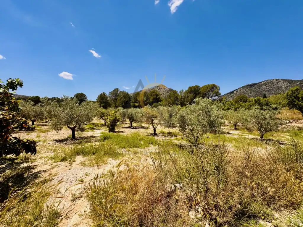 Casa rústica en venta en Partida Romaneta La, imagen 23