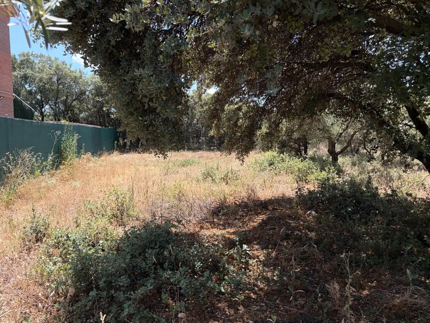 Terreno residenziale in vendita a Pioz, imagen 11