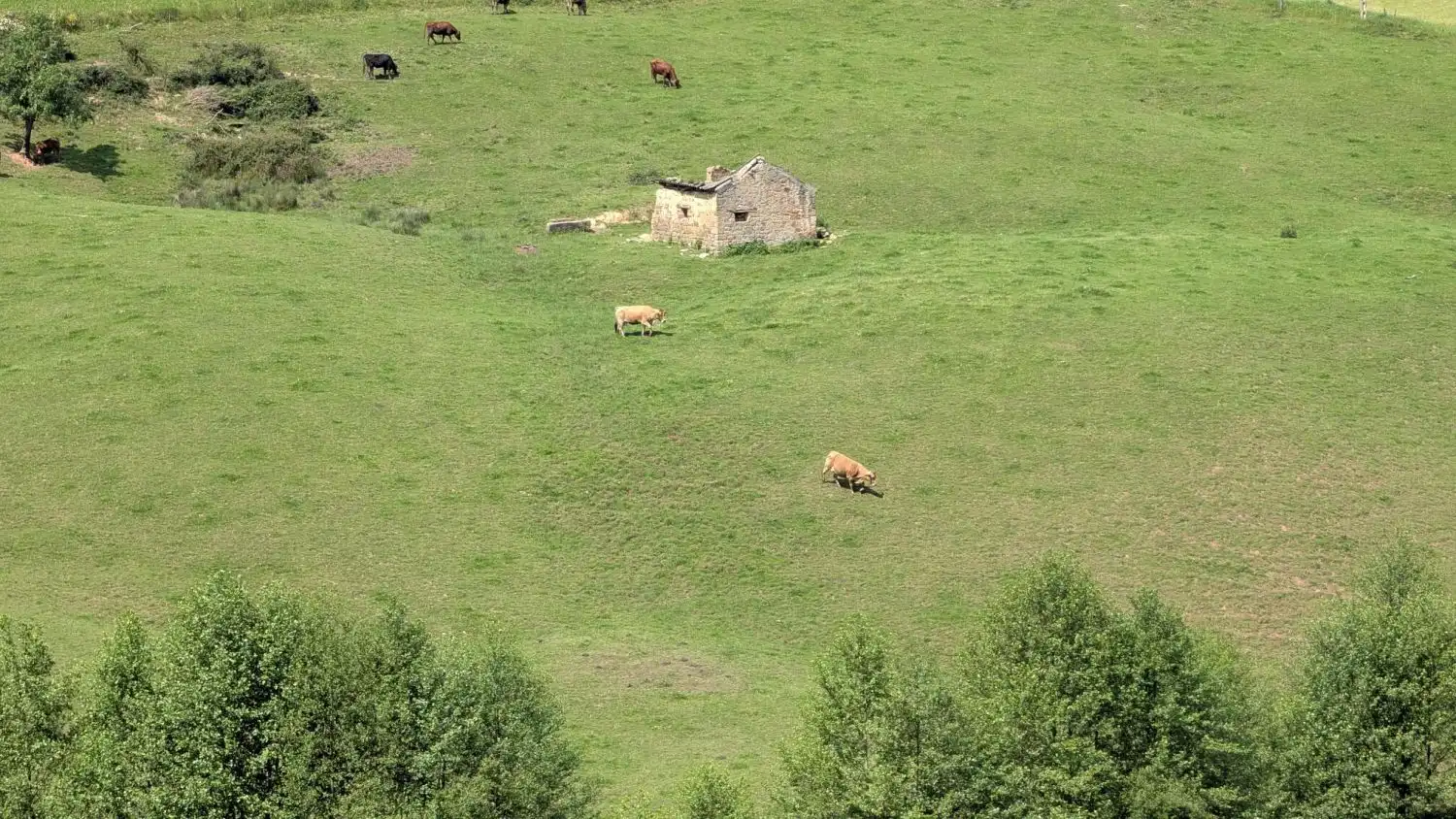 Country homes for sale in Piélagos