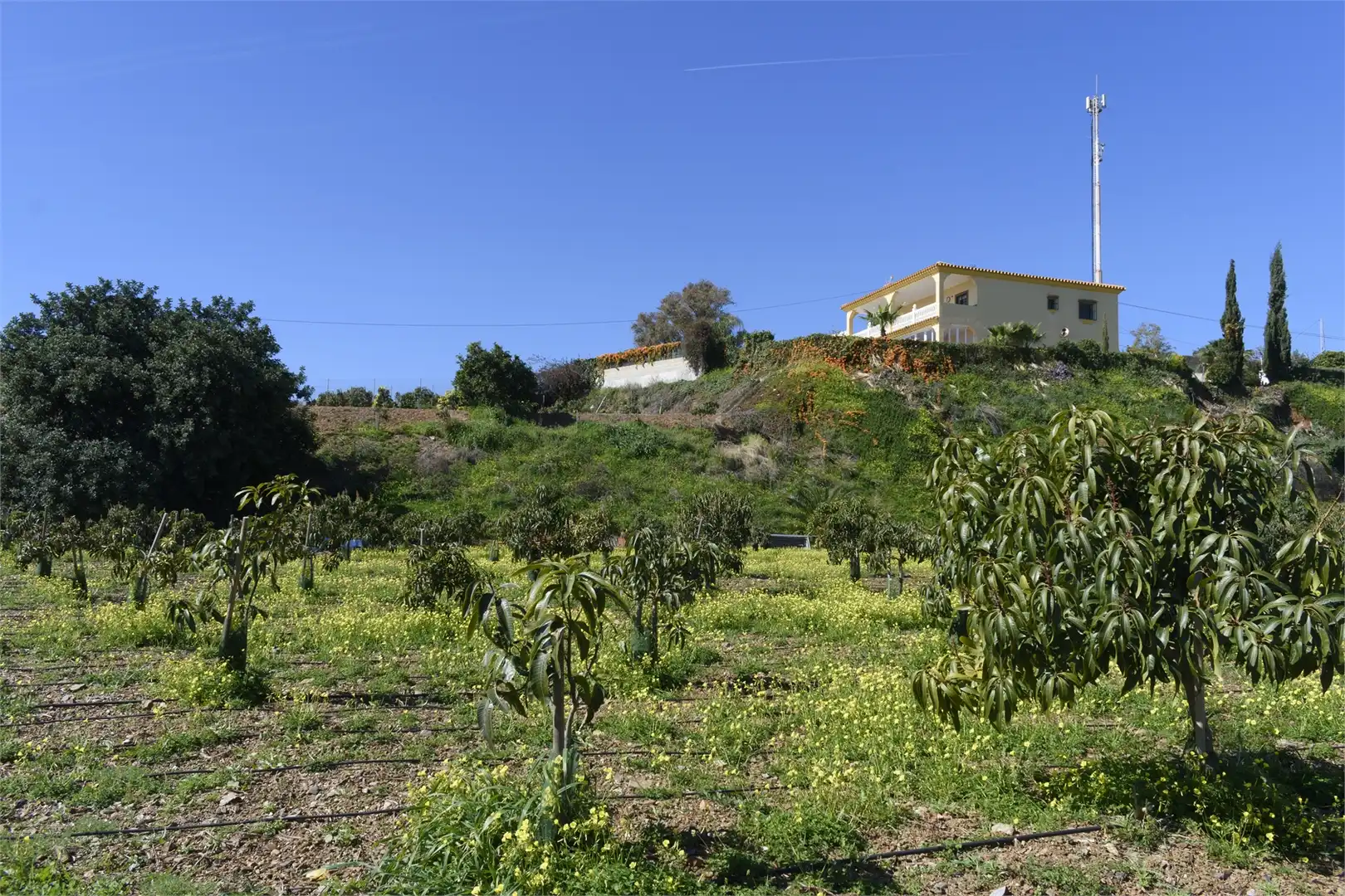 Houses for sale in Vélez-Málaga  with Private garden, Terrace and Swimming Pool