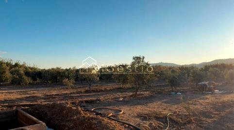 Foto 3 de Terreny en venda a Can Calders, Sant Feliu de Llobregat