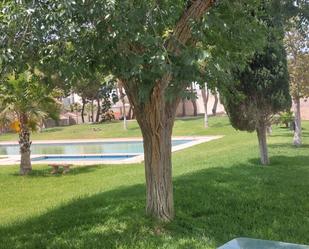 Swimming pool of Apartment for sale in Benidorm  with Terrace, Storage room and Furnished