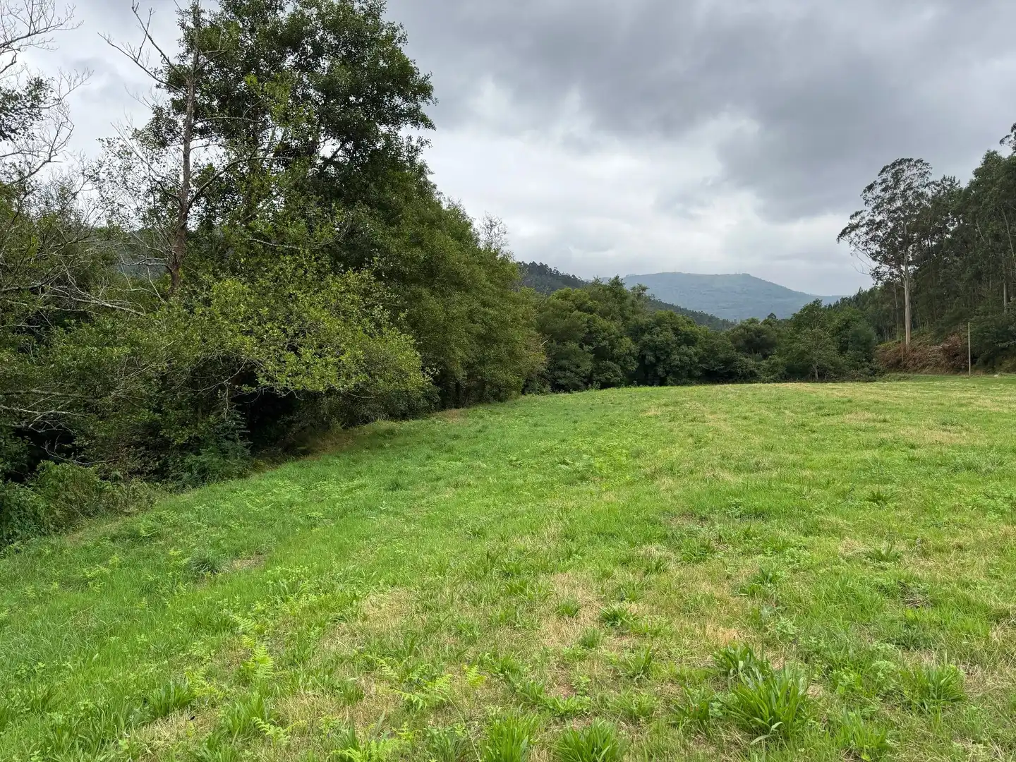 Land for sale in Mondoñedo