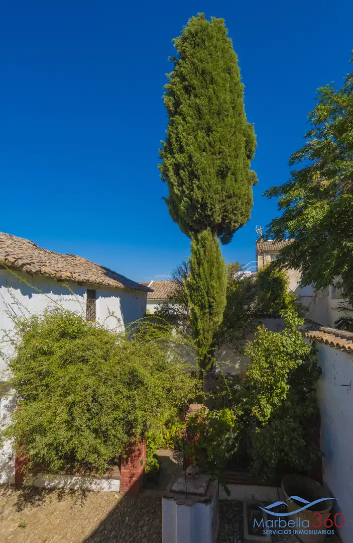 Jardín de Casa o chalet en venta en Ronda con Jardín privado, Terraza y Amueblado
