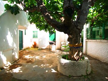 Maison avec jardin à vendre à Pedanías - Extrarradio