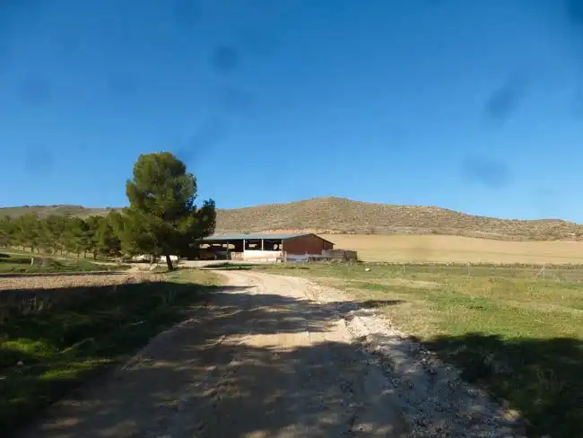 Vista exterior de Terreny en venda en La Puebla de Montalbán