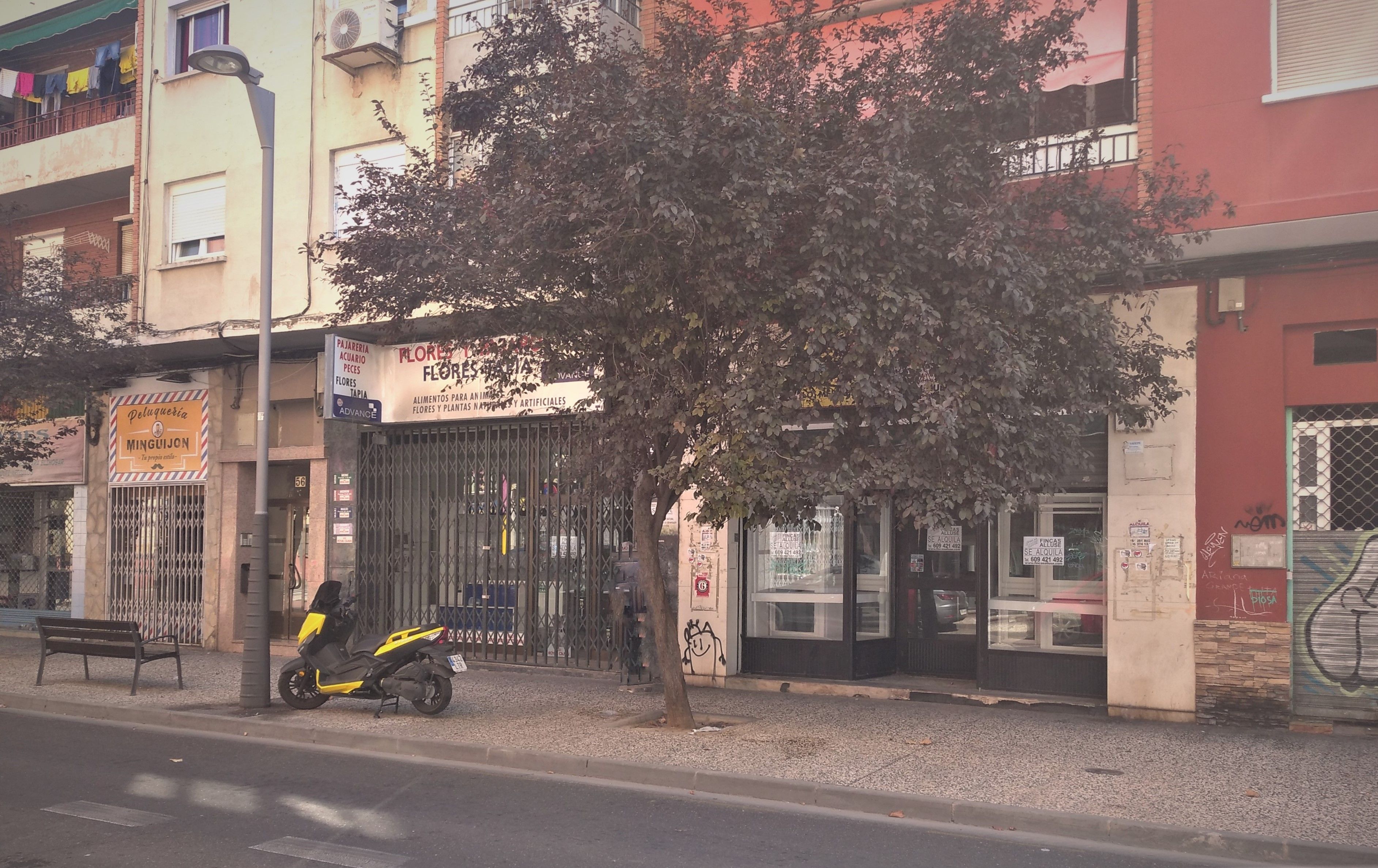 Local de alquiler en  Zaragoza Capital