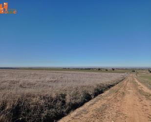 Terreny en venda en Adrada de Pirón