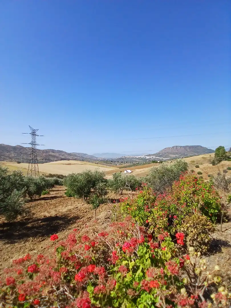 Terreno en venta en N/A, Álora