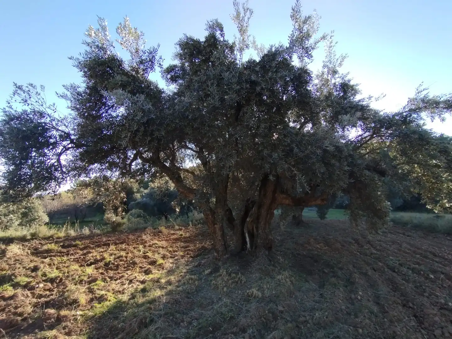 Terreni e lotti in vendita a La Fresneda, imagen 11