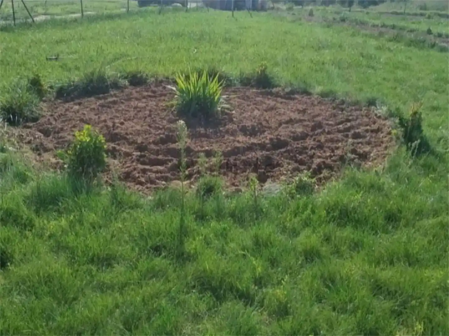Garden of Land for sale in Lerín
