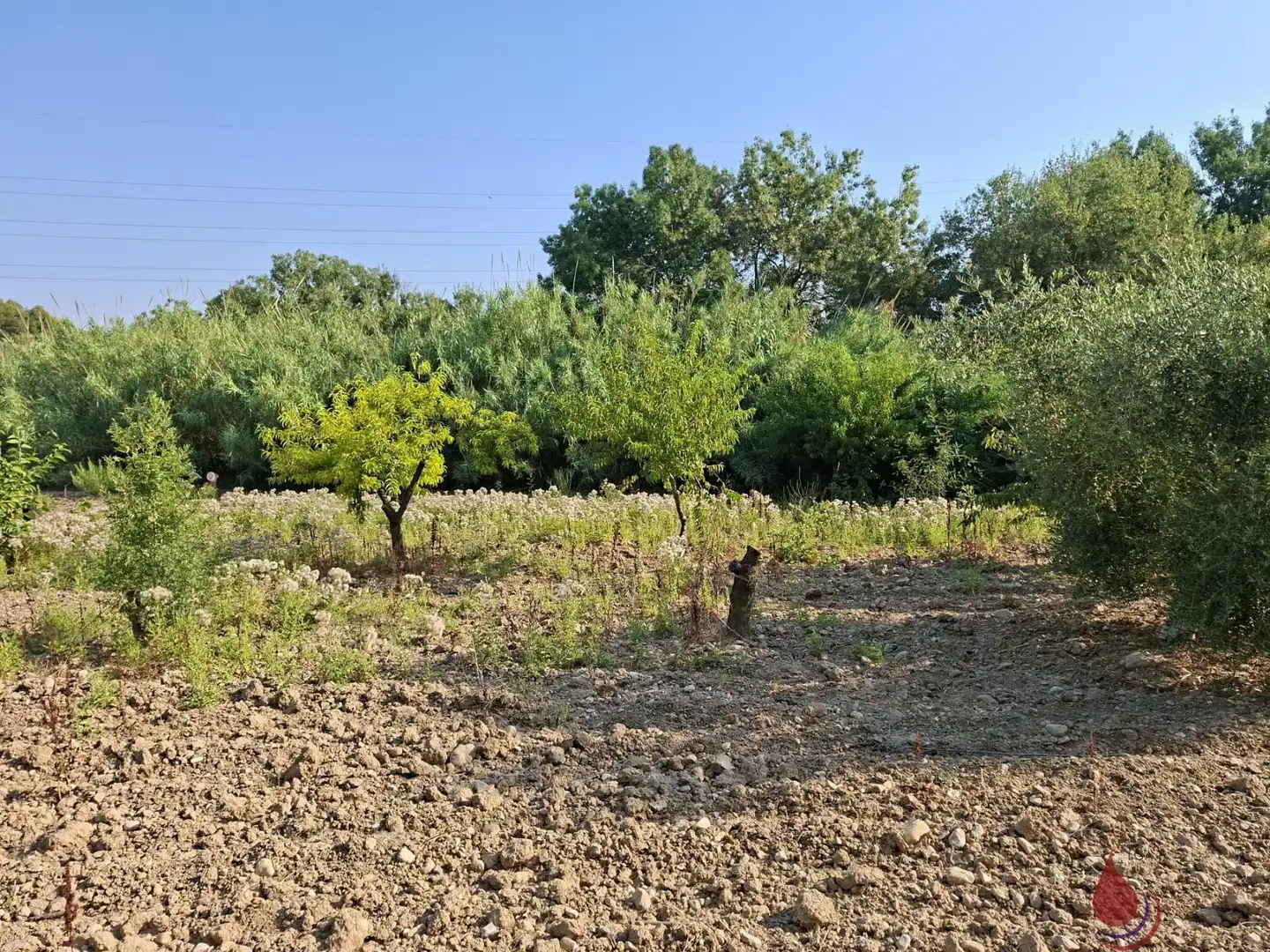 Terrenys i solars en venda a L'Arboç, imagen 8