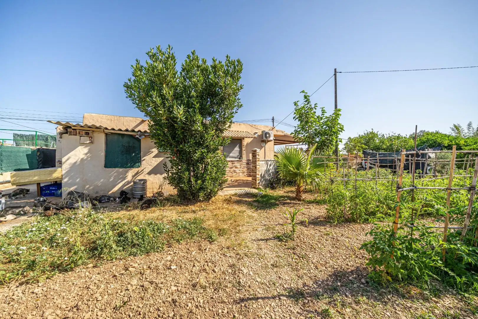 Vista exterior de Finca rústica en venta en  Palma de Mallorca con Aire acondicionado, Calefacción y Jardín privado