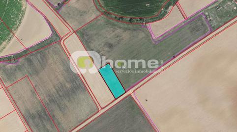 Photo 5 of Land for sale in Villalobos, Zamora