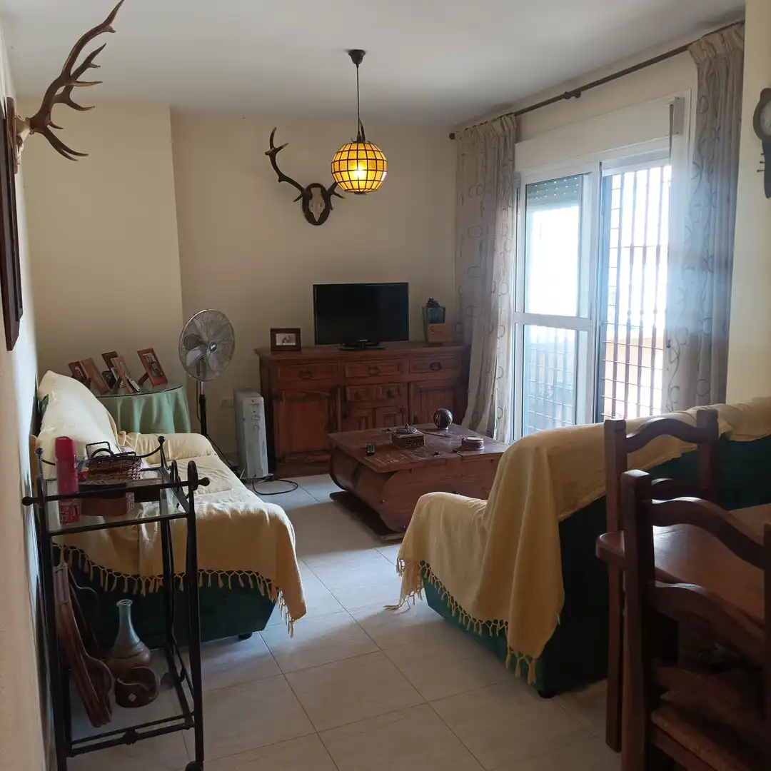 Appartement avec ascenseur à vendre à Avenida de la Aduana, imagen 4