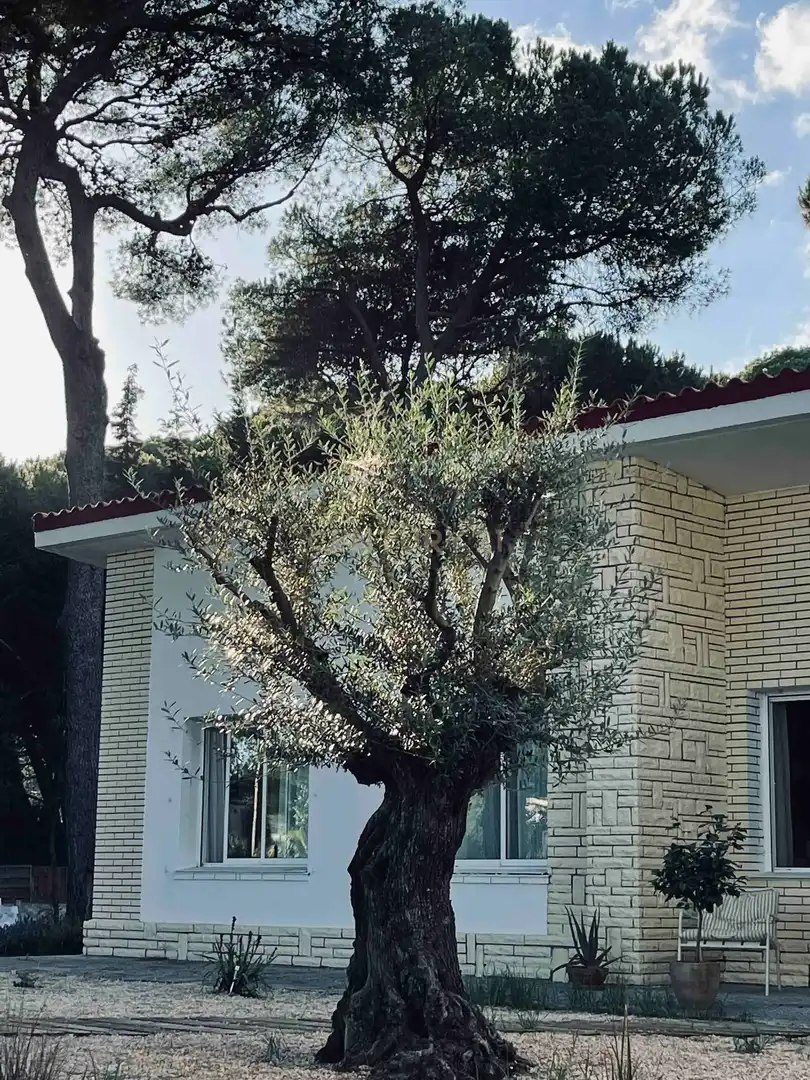 Casa o xalet en venda a Gavà, Barcelona, Spain, -1, Centre - Estació