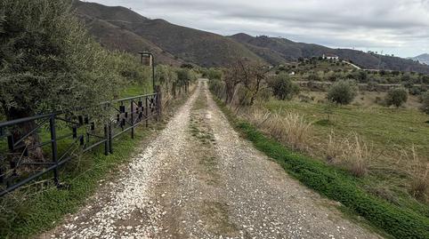 Foto 5 de Finca rústica en venta en Diseminado Huertas y Lomas, Casarabonela, Málaga