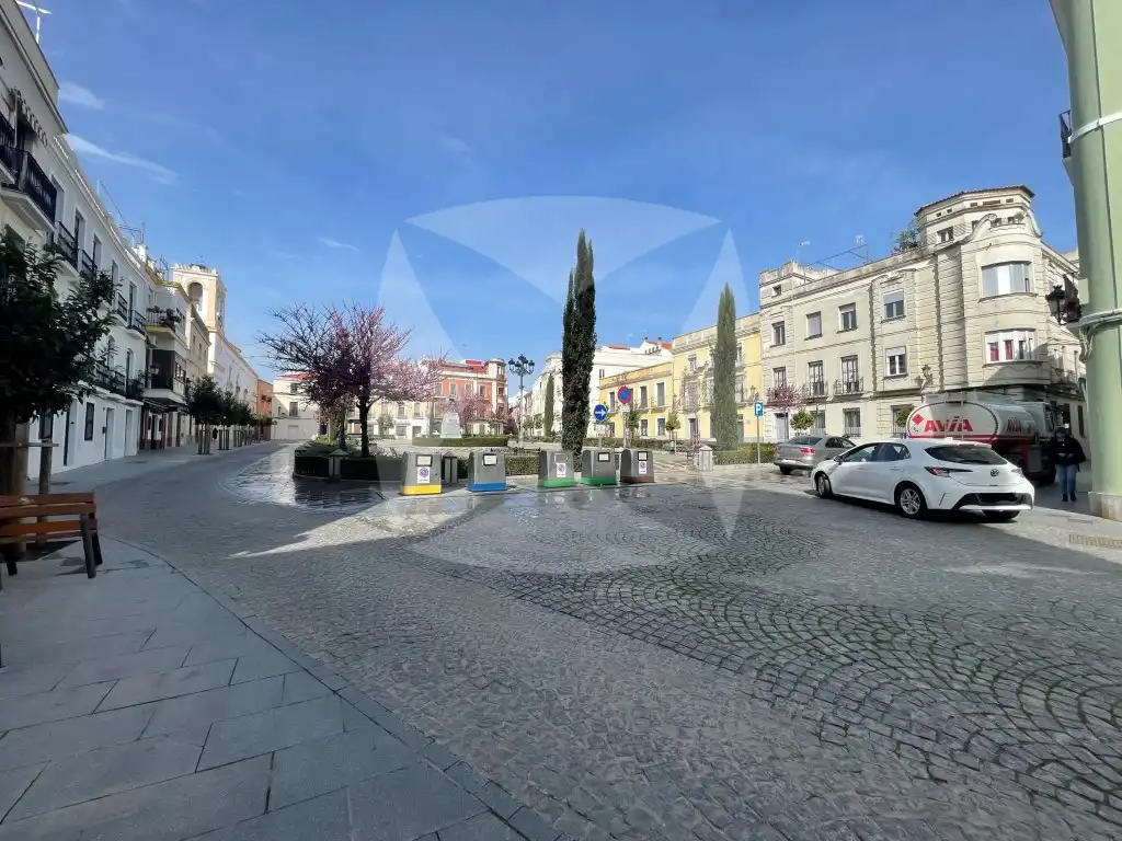 Piso en venta en Plaza Cervantes, Casco Antiguo