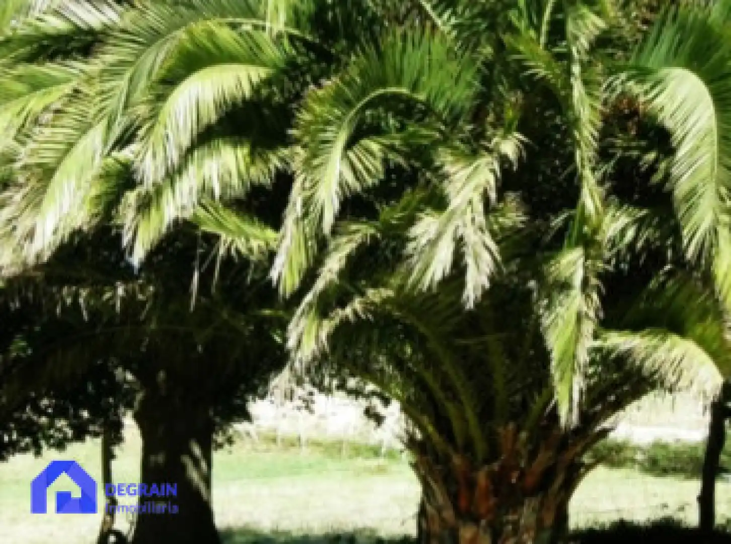 Jardín de Casa o chalet en venta en Noreña con Calefacción, Jardín privado y Terraza