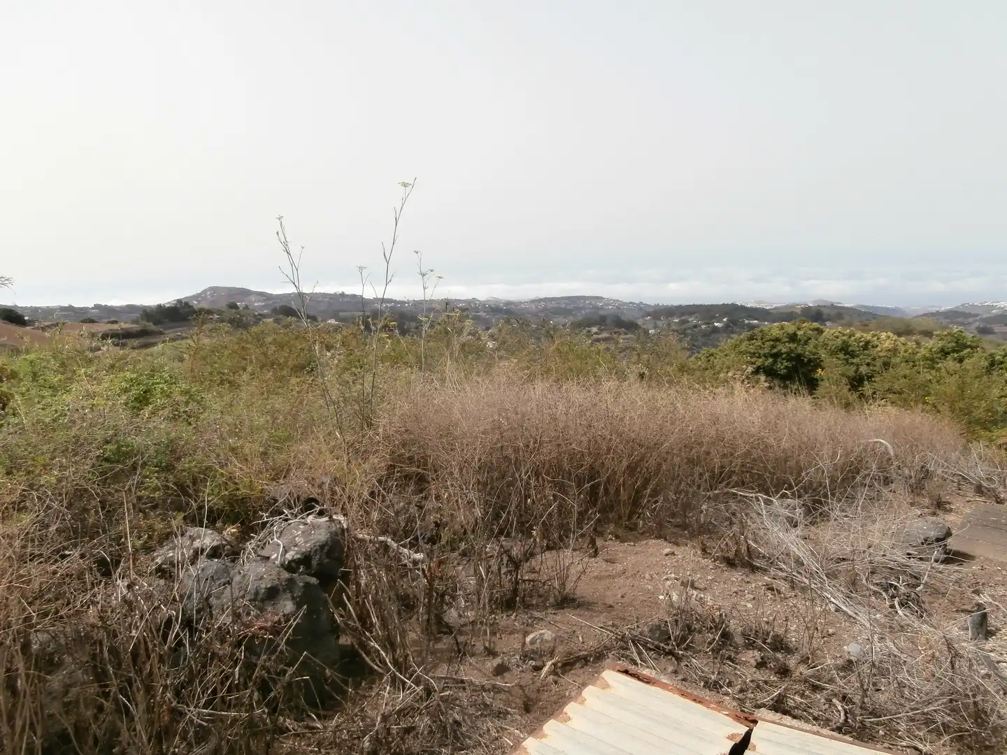 Finca rústica en venta en Camino Lomo el Marco, 41, Moya (Las Palmas)