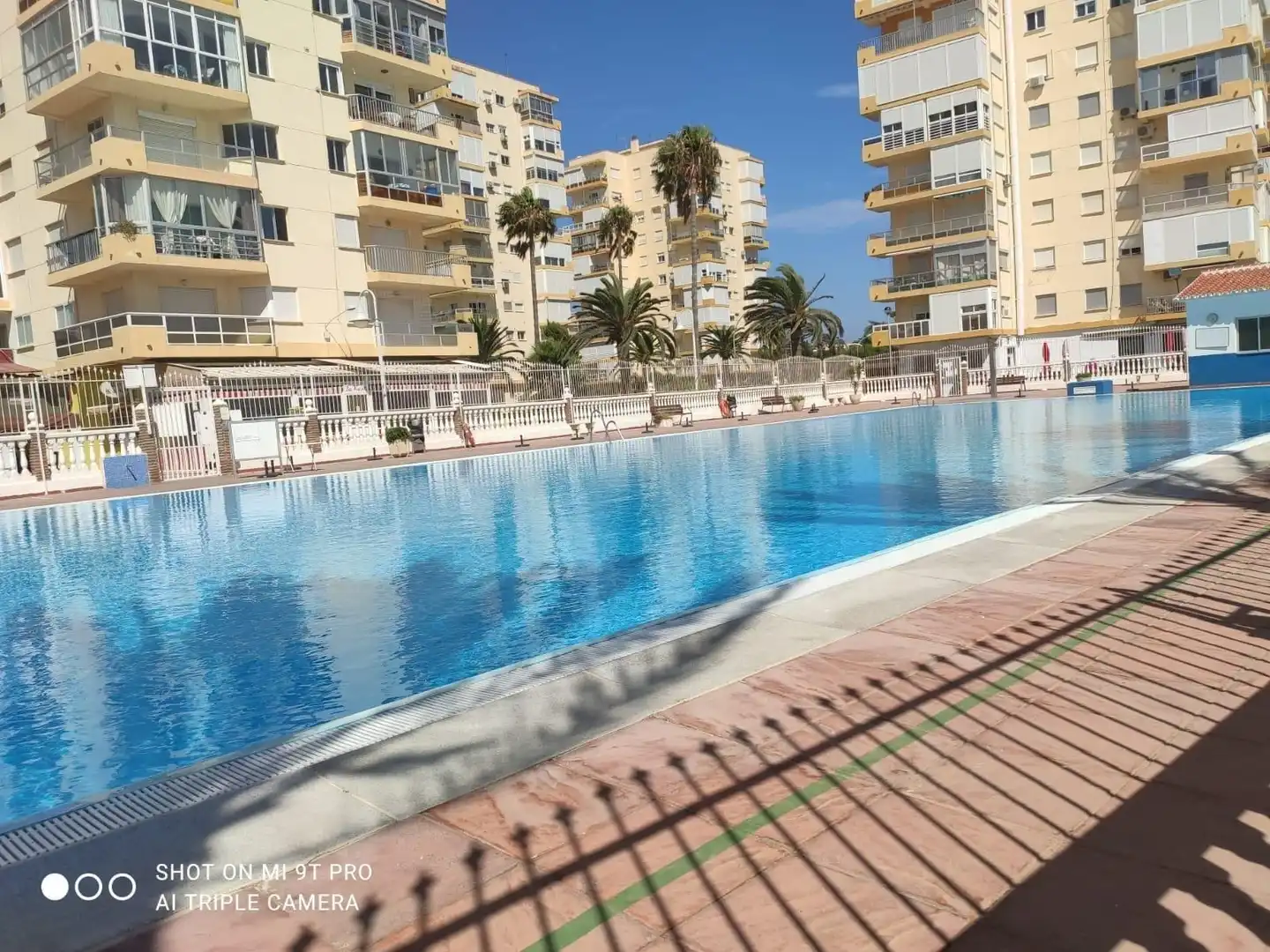 Swimming pool of Apartments for rent in Algarrobo