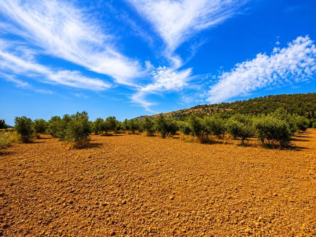 Terreny rústic en venda a Ciutat d'Alcúdia, imagen 8