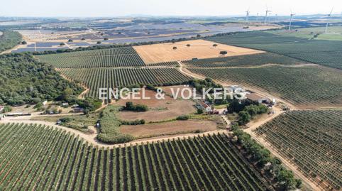Foto 3 de Finca rústica en venta en Cortijo Carvajal, El Almedral, Cádiz