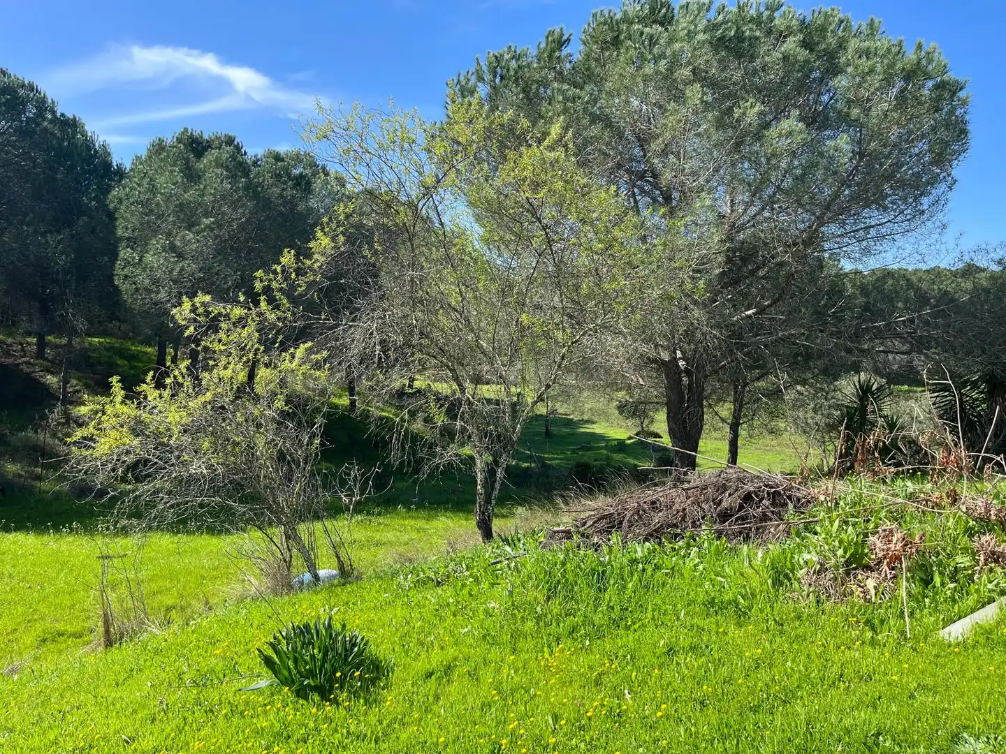 Chalet con jardín en venta en Diseminado Caballon 20, imagen 32