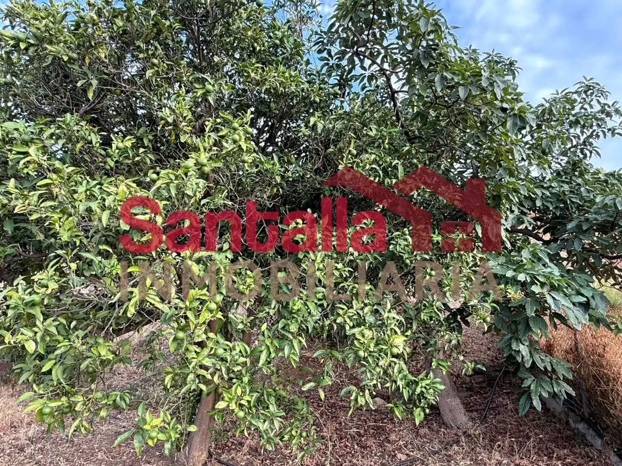 Country homes for sale in Almuñécar  with Private garden, Terrace and Furnished