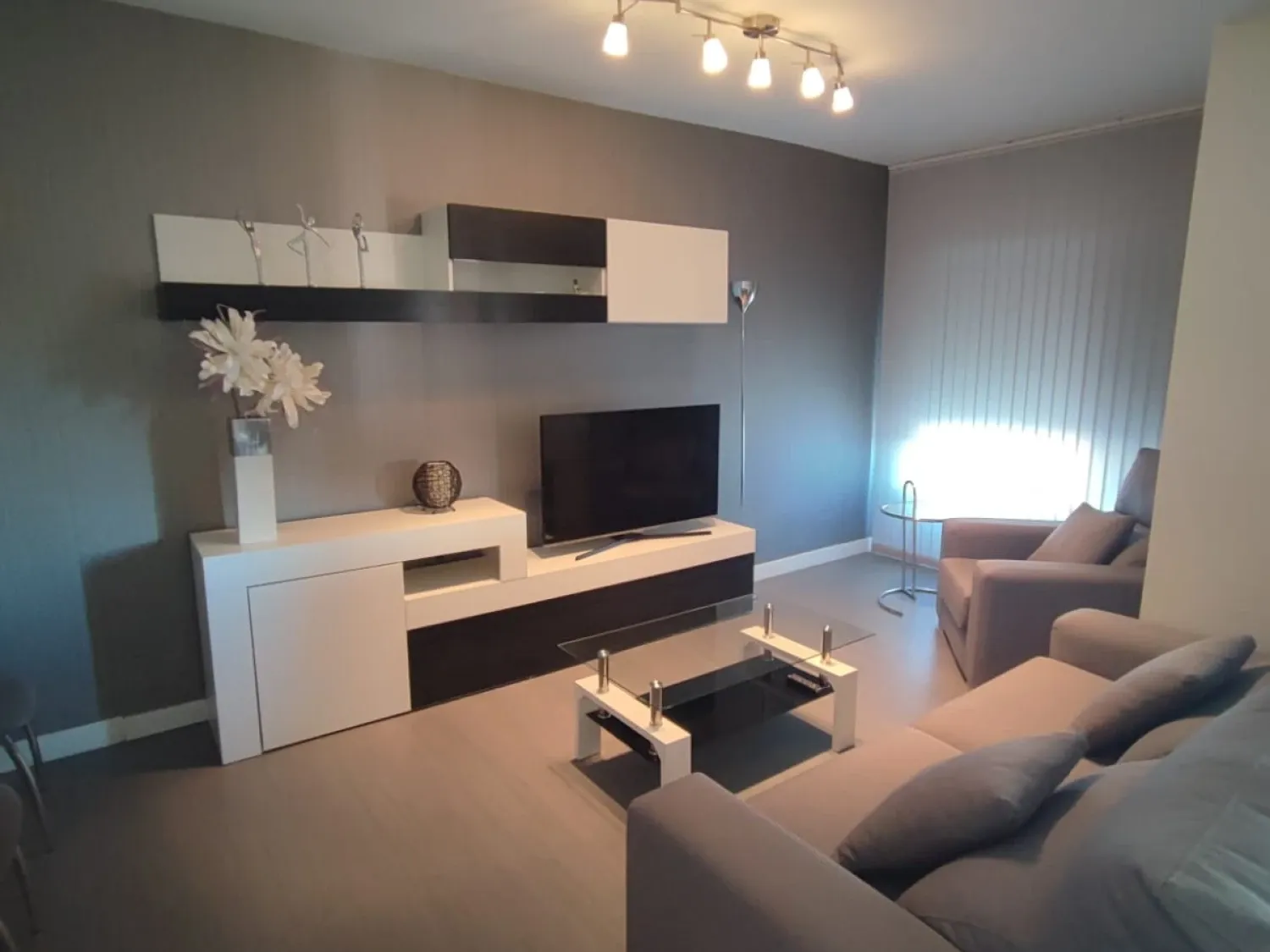 Living room of Flat to rent in  Murcia Capital  with Furnished, Washing machine and Balcony