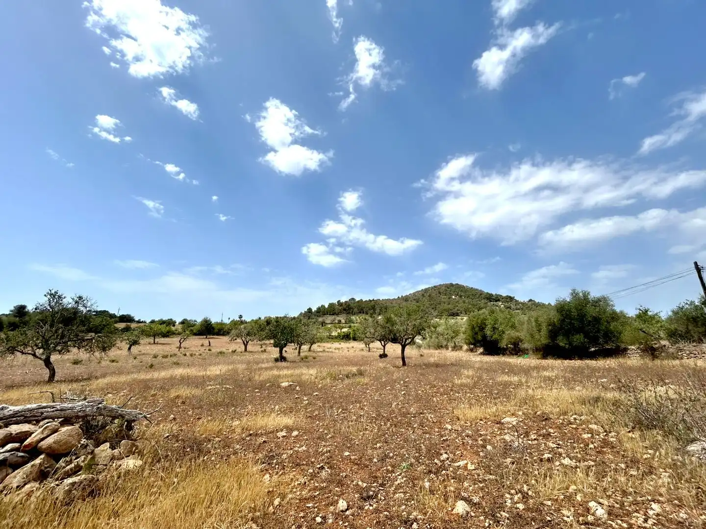 Terreny en venda en Santanyí