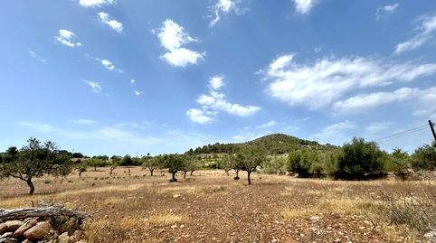 Foto 5 de Terreny en venda a Diseminado Poligono 9, 55, S'Alquería Blanca - Calonge, Santanyí