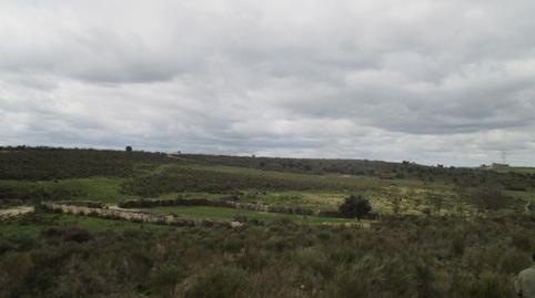 Foto 4 de Finca rústica en venda a San Felices de los Gallegos, Salamanca