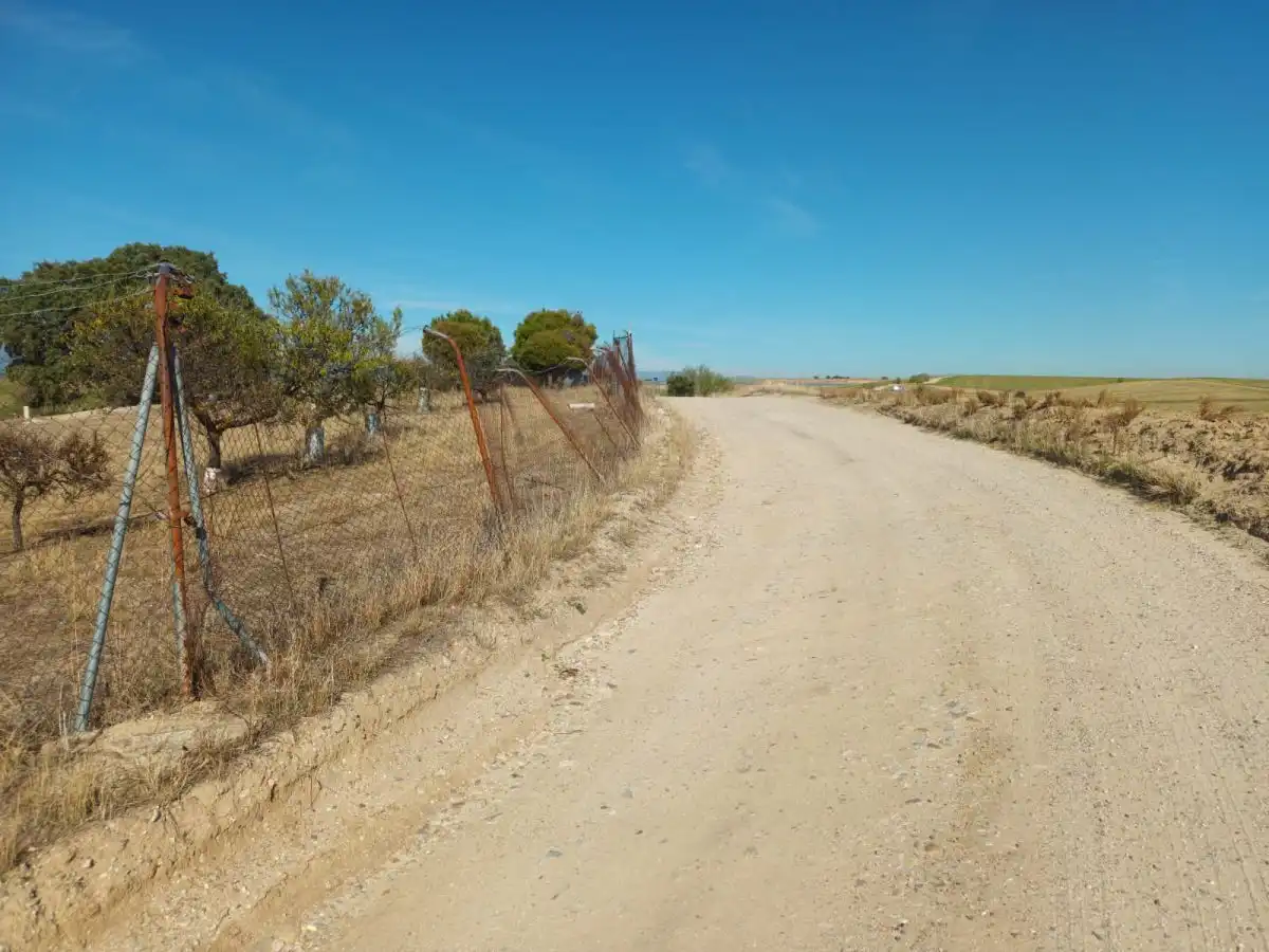 Vista exterior de Finca rústica en venta en Brunete