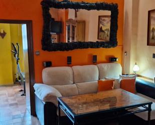 Living room of Flat to rent in  Sevilla Capital  with Air Conditioner, Heating and Furnished