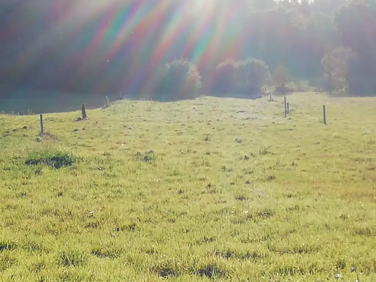 Terreni e lotti in vendita a Lugar O Formigueiro - Laracha, imagen 15