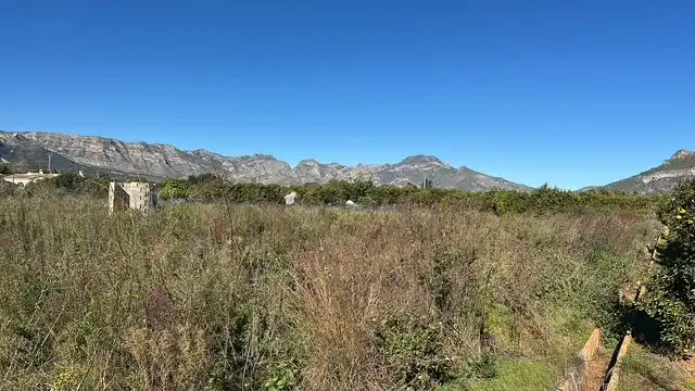 Terreny rústic en venda a Partida Cova Negra, imagen 14