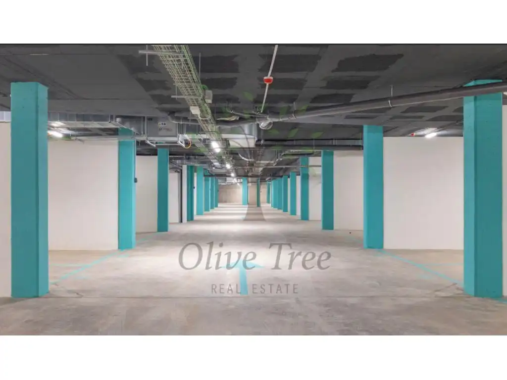 Apartamento con piscina en alquiler en Avenida Pedro Matutes Noguera, imagen 4