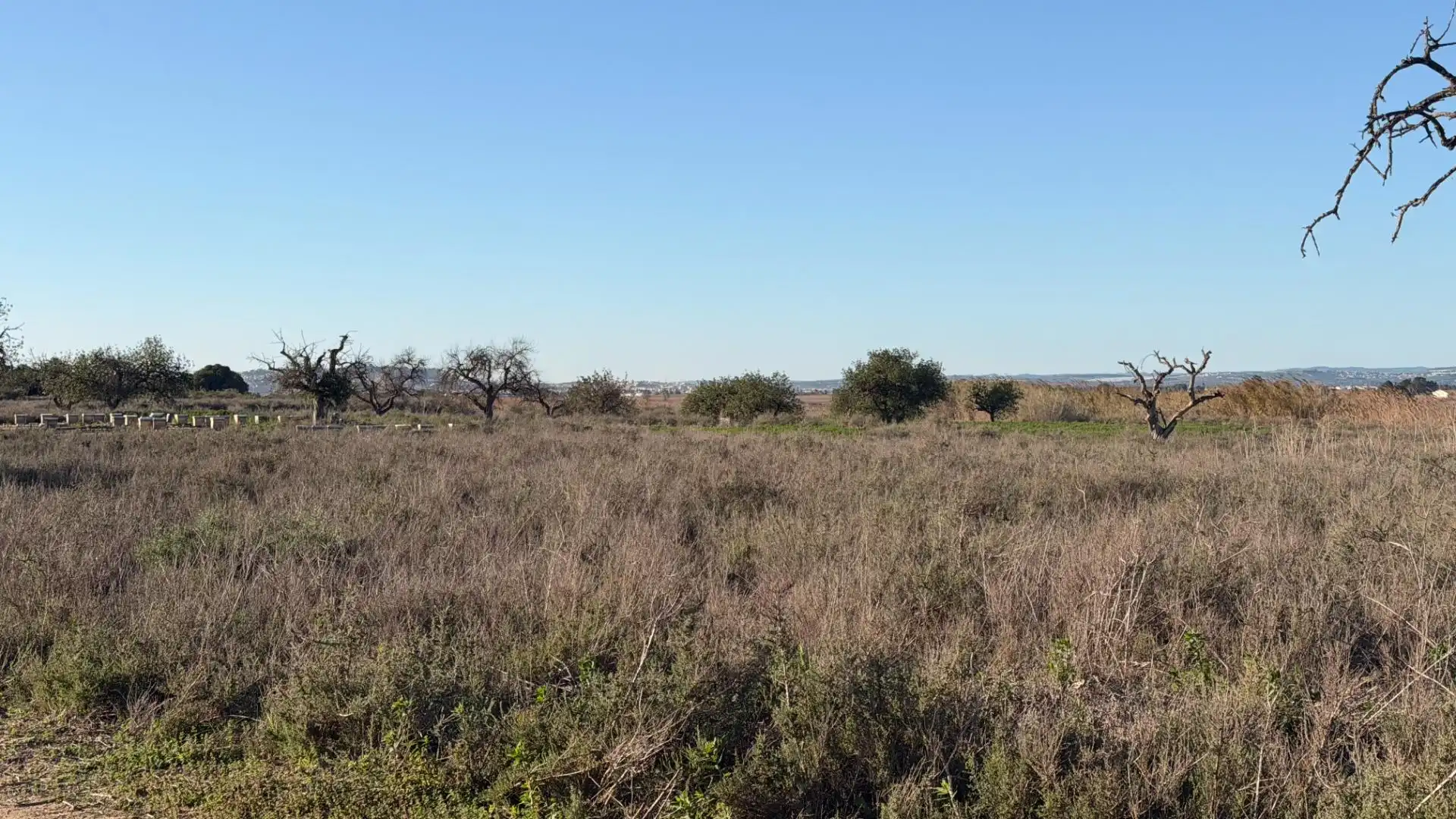 Terreno residencial en venta en La Marina, imagen 32