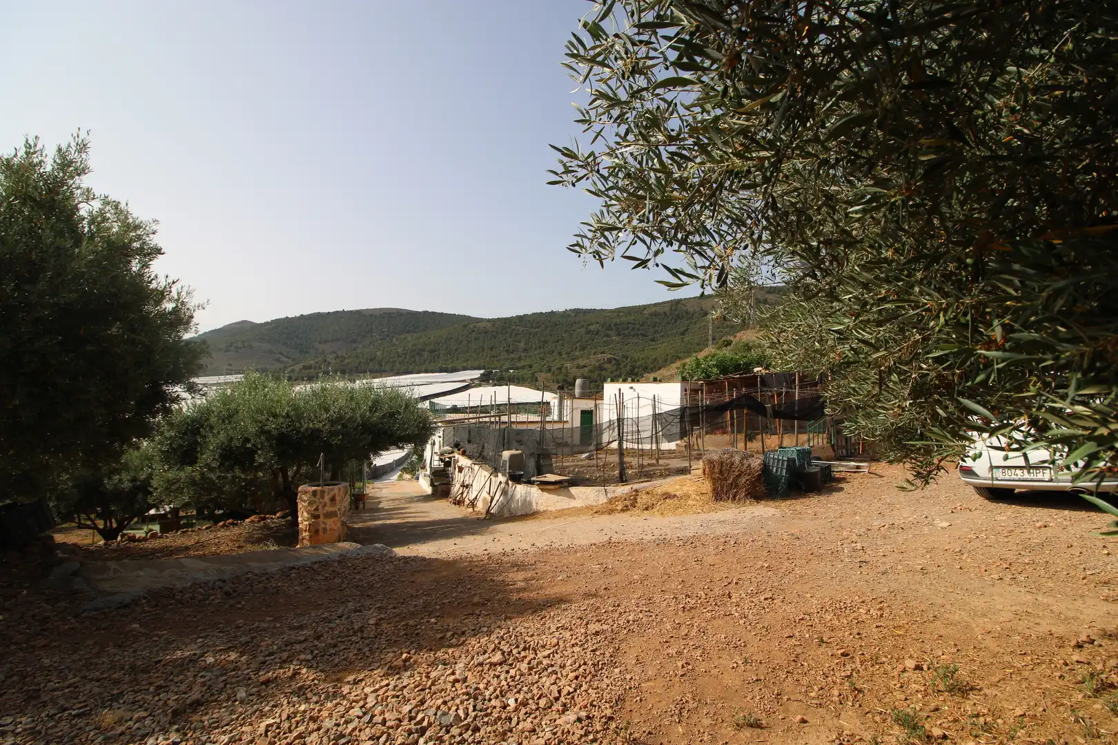 Jardí de Finca rústica en venda en Dalías