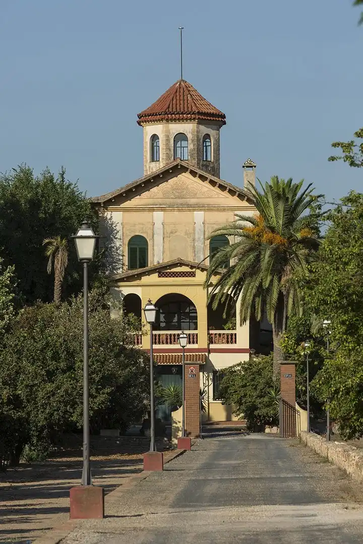 Vista exterior de Finca rústica en venta en Reus con Terraza, Piscina y Amueblado
