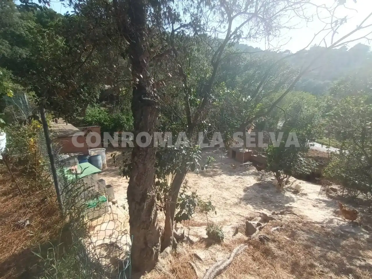 Terrenys i solars en venda a Montbarbat, imagen 4