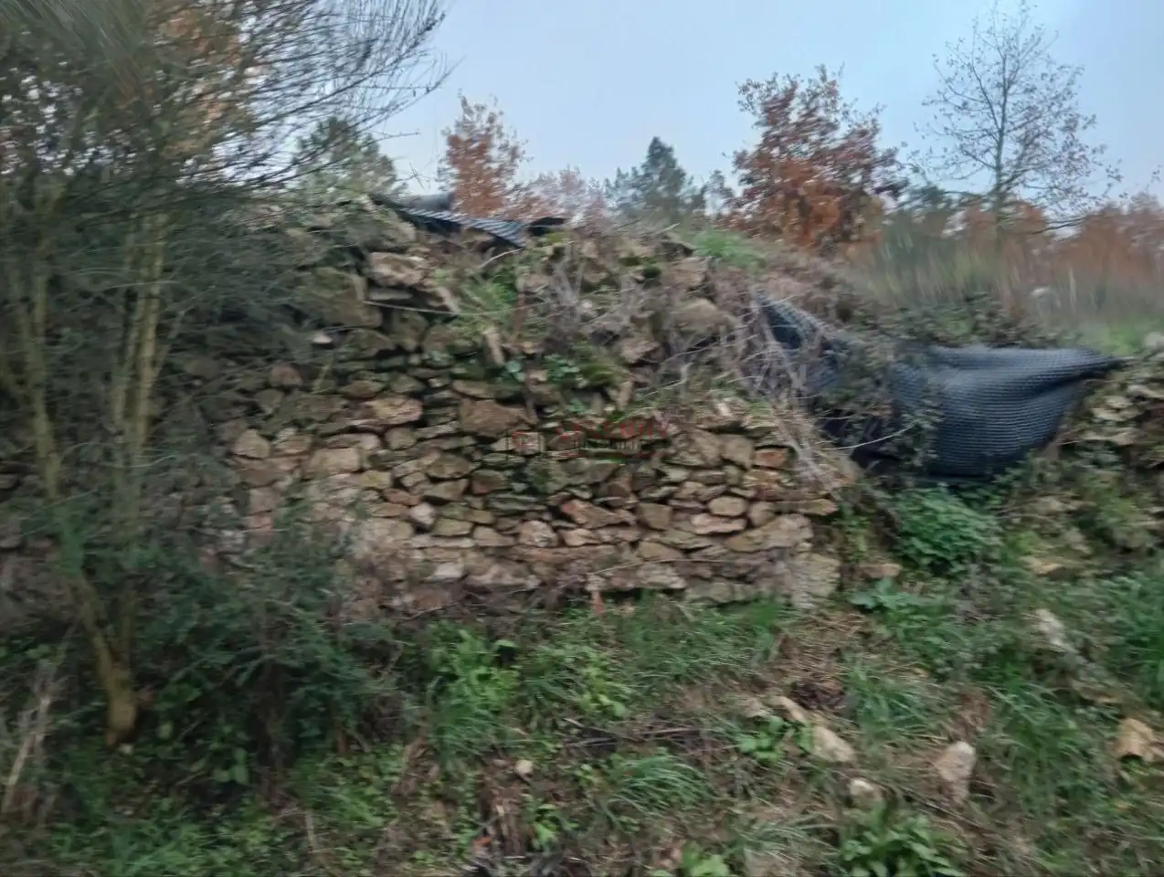 Terreny residencial en venda a San Cibrao das Viñas, imagen 26