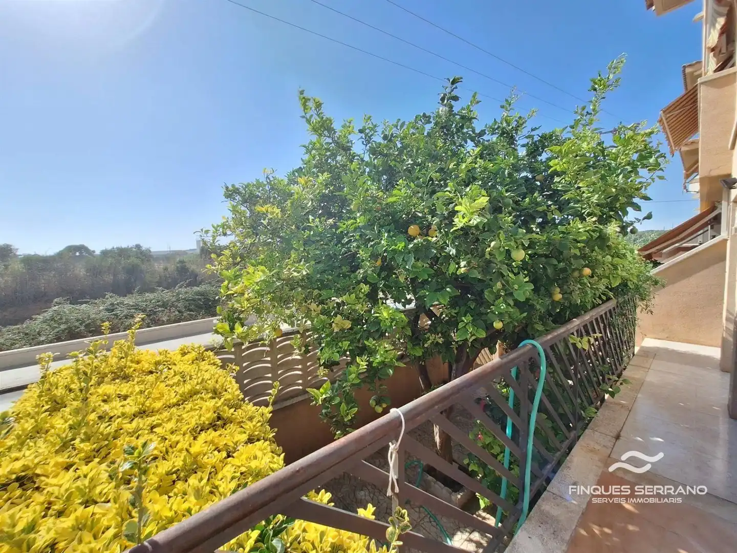 Piso en venta en RAVAL DEL TORRENT, imagen 43