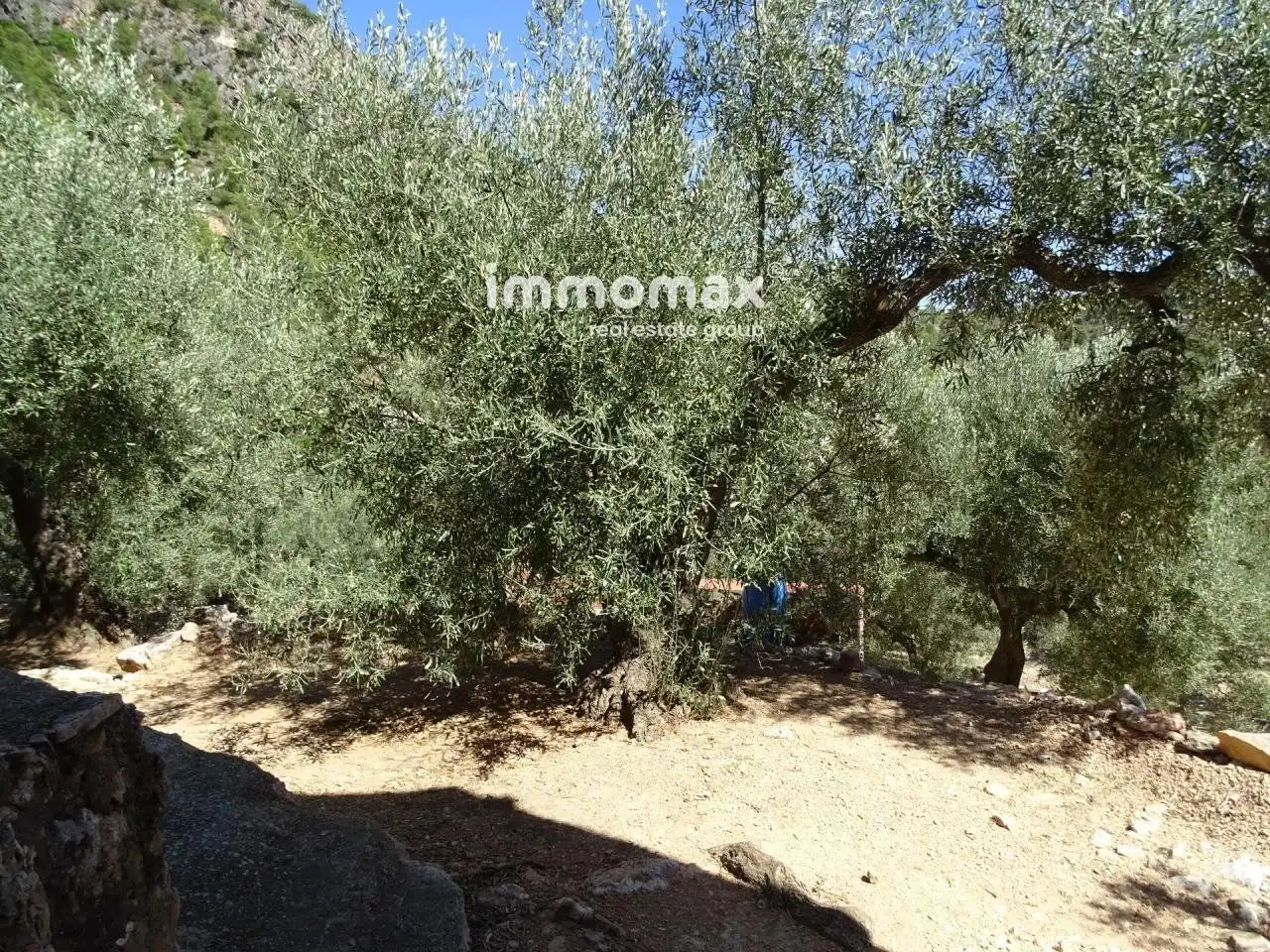 Villa à vendre à Paüls, imagen 39